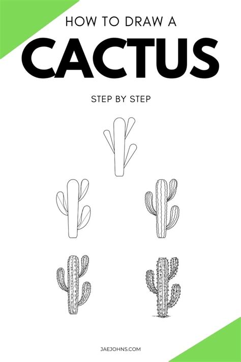 How To Draw A Realistic Cactus Easy Steps Jae Johns