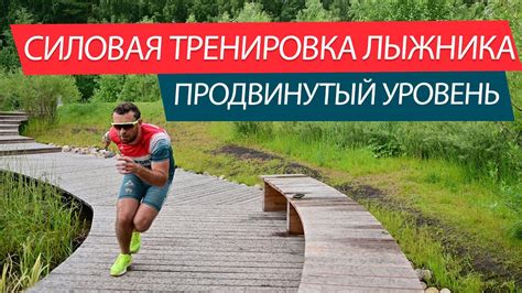 Силовая лыжника в домашних условиях. Продвинутый уровень! - YouTube