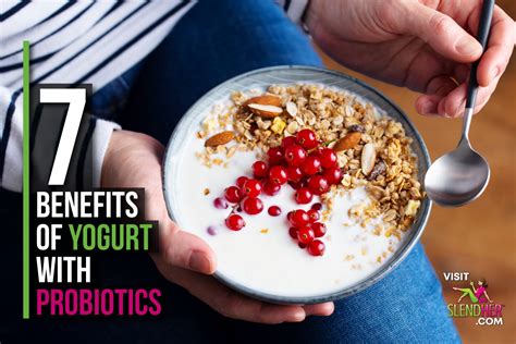 7 Benefits of Yogurt with Probiotics - SlendHer