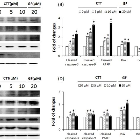 Effects Of Ctt Treatment On Apoptosis In A And H Cells A And