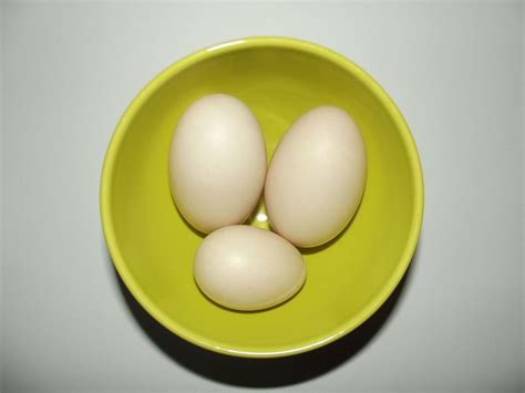 All About Duck Eggs Nutrition Benefits And Comparison Half Chicken