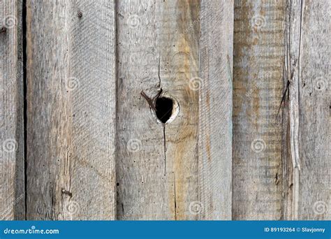 Hole In The Fence Stock Photo Image Of Vertical Fence 89193264