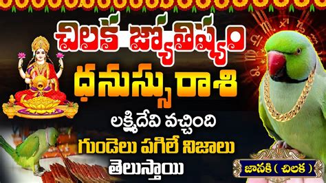 ధనససరశ దమమ దలపశర 1 to 15 Jan 2023 Dhanassu Rashi Chilaka