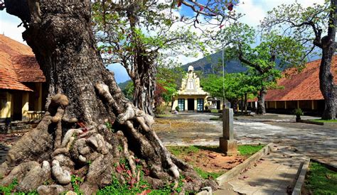 Đến Côn Đảo thăm nơi ra đời bài thơ “Đập đá ở Côn Lôn” - Vietnam.vn