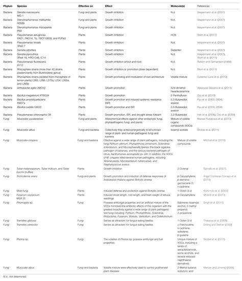 Frontiers Chemical Diversity Of Microbial Volatiles And Their