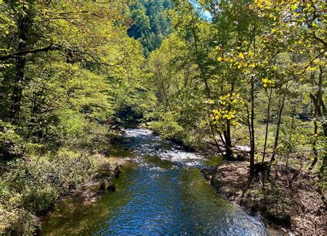 Chattahoochee-Oconee National Forest (Conasauga District)