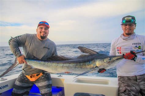 July 28th Cabo San Lucas Fishing Report - Blue Sky Cabo