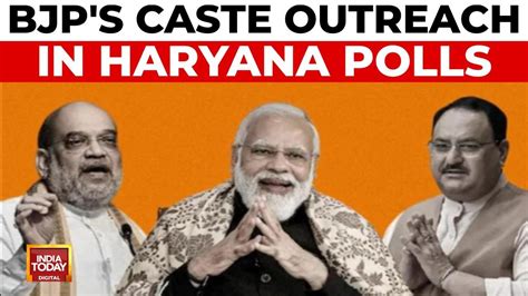 Haryana Elections News Bjp Fields 14 Obc 13 Dalit Candidates In