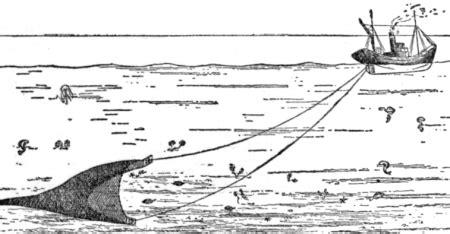 Types Of Fishing Methods Techniques Study