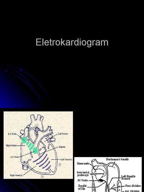 Pdf Ekg Bimbingan Dokumen Tips