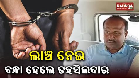 Odisha Vigilance Arrests Karanjia Tehsildar For Taking Bribe Kalinga