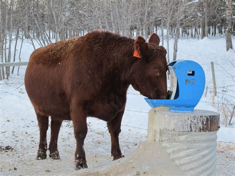 Solar Livestock Waterer | Frostfree Nosepumps