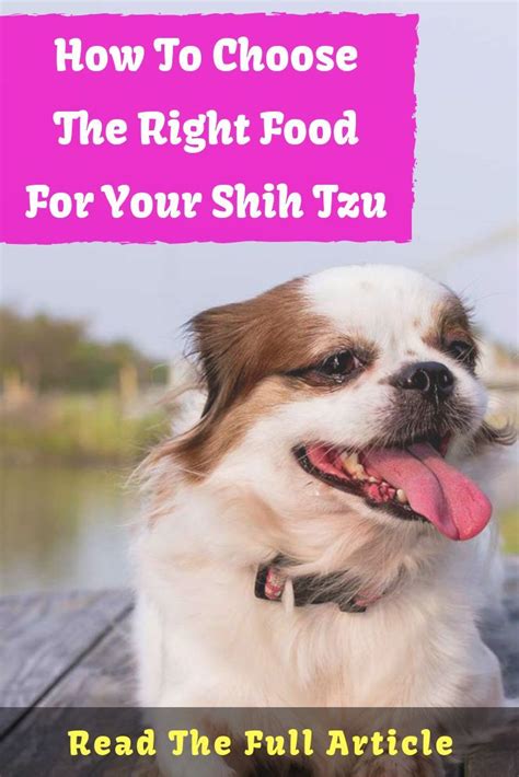 Shih Tzu Food List What They Can And Cant Eat Best Dog Food Shih