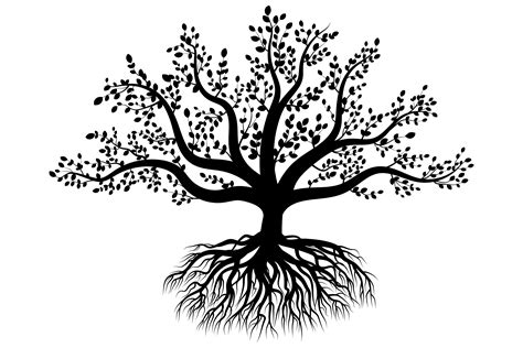 Tree Silhouette Png Graphic By Looksgoodonyou · Creative Fabrica