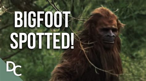 Shocking Bigfoot Sighting Evidence Bigfoot Encounters Full Hd