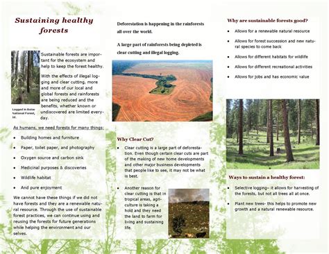 Ensuring sustainable forests: Brochure