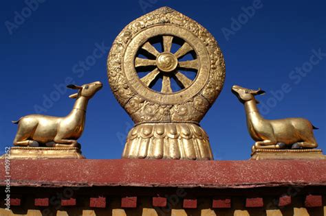 Buddhismus Das Rad Der Lehre Mit Gazellen Stock 사진 Adobe Stock