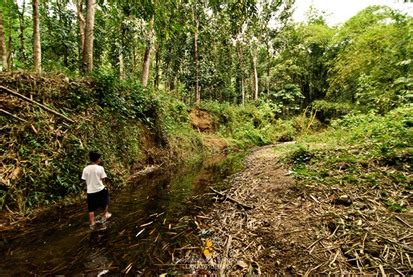 RIZAL | Chasing Wawa Dam's Waterfalls - Lakad Pilipinas