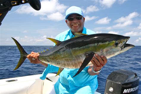 Fotos Gratis Oceano Pescar Pescado Choclo Costa Rica Atún