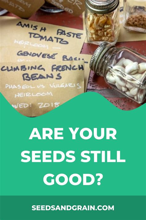 How Long Do Seeds Last Free Viability Chart Artofit