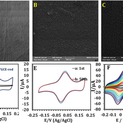 Cyclic Voltammograms Of A Gce B Gce Red C Ccgce And D Download Scientific Diagram