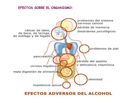 Alcoholismo Efectos Del Alcohol En El Organismo