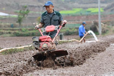 四川蓬安：春耕时节农作忙 人民图片网