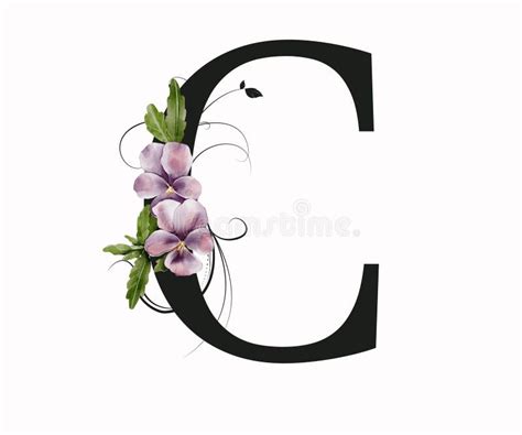 Capital Letter C Decorated With Green Leaves And Pansies Letter Of The