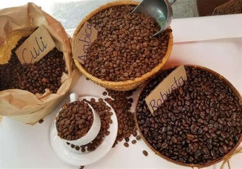 Sự phối hợp giữa dòng cà phê Robusta - Arabica - Culi - K7coffee