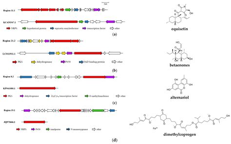 Microorganisms Free Full Text Whole Genome Sequence Analysis Of An