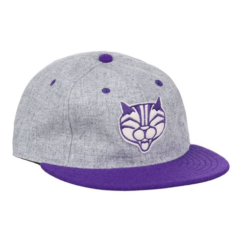 Northwestern University Mascot Vintage Ballcap - Gray – Ebbets Field ...