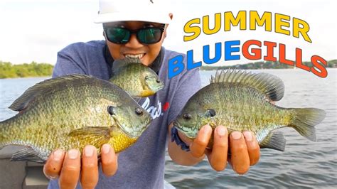 How To Find Summer Bluegills Lake Metigoshe Project Angling Youtube