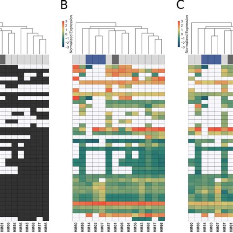 Clinical UPEC isolates carry a highly variable set of virulence ... 