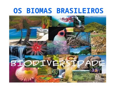 Ppt Os Biomas Brasileiros Os Biomas Brasileiros O Brasil Possui