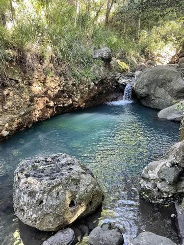 Best Hikes And Trails In Makua Keaau Forest Reserve Alltrails