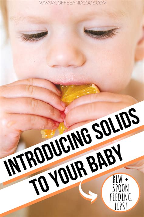 Introducing Solids To Your Baby Coffee And Coos In 2021 Spoon