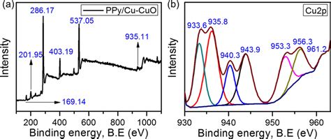 Xps Spectra Of Ternary Ppy Cu Cuo Nanocomposite Film A Survey Spectrum