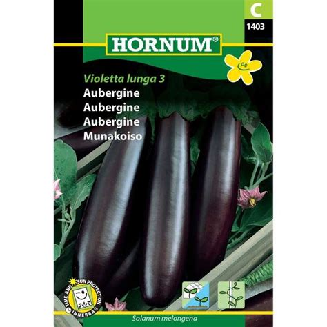 Aubergine Violetta lunga 3 Drivhusfrø Vandogfrø dk