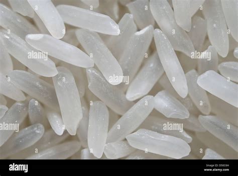 Close Up Or Macro Background Of White Rice Stock Photo Alamy