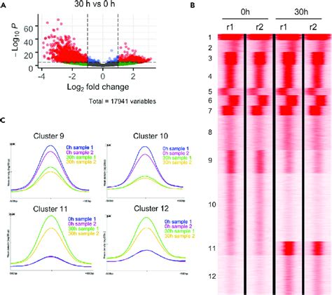 Changes Of Chromatin Accessibility During Terminal Erythropoiesis A