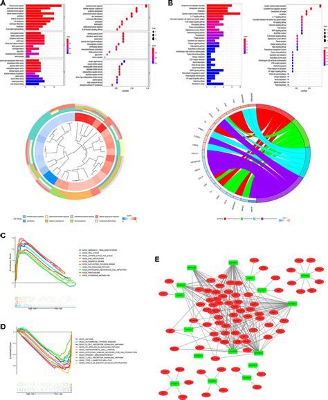 Frontiers Oxidative Stress Related Lncrnas Are Potential Biomarkers