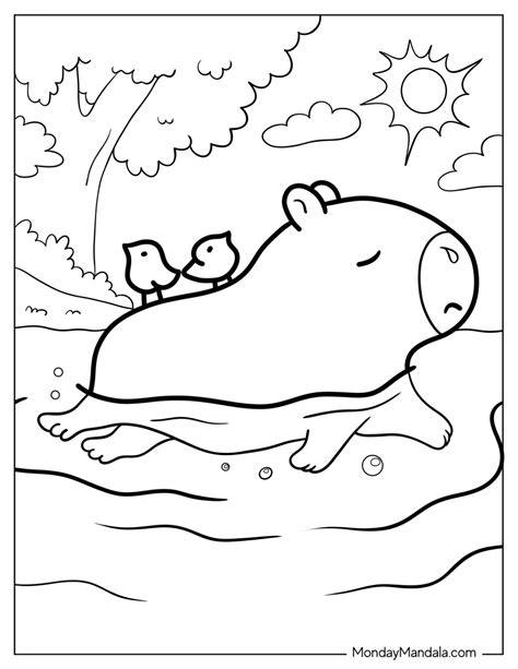 20 Capybara Coloring Pages Free Pdf Printables