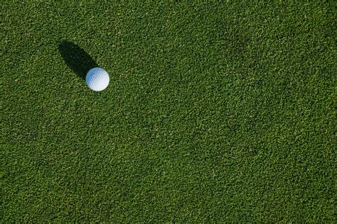 Reasons Why Artificial Grass Is Great For Backyard Golfing