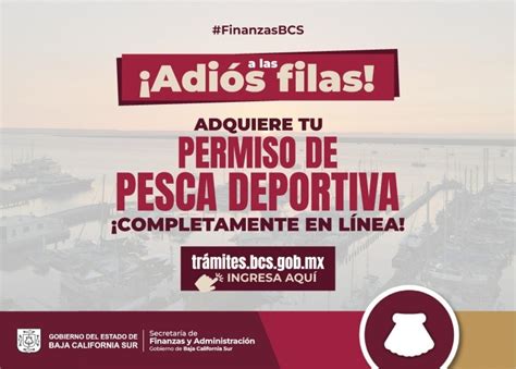 Desde Baja California Sur Y En Línea Puedes Comprar Tu Licencia De