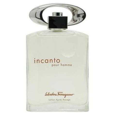 Ferragamo Incanto Pour Homme Atelier Yuwa Ciao Jp