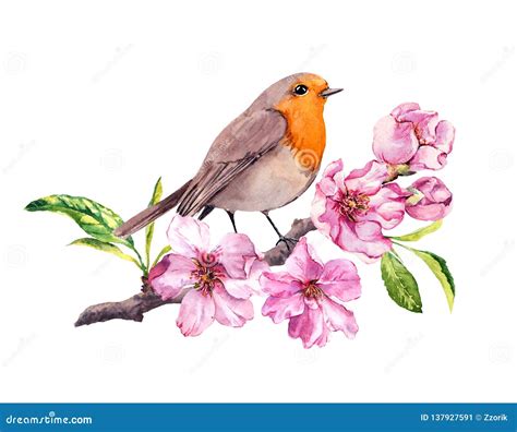 Oiseau En Fleurs De Cerise Ou De Pomme Fleur De Printemps Branche De