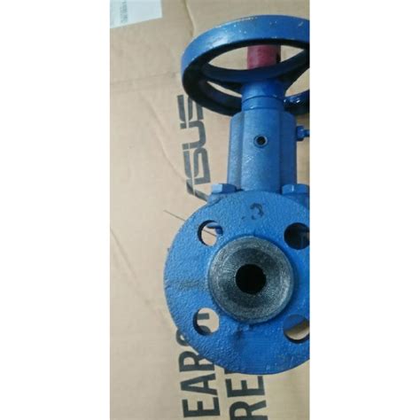 Jual Globe Valve Cast Iron Pn 16 Boa Bellow 12 Inch Oryginal Shopee Indonesia