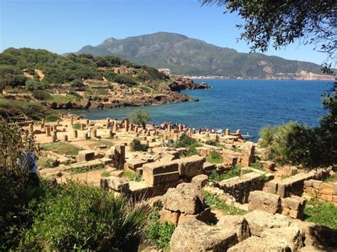 Plages de Tipaza Le Guide Essentiel pour les Voyageurs en Quête de