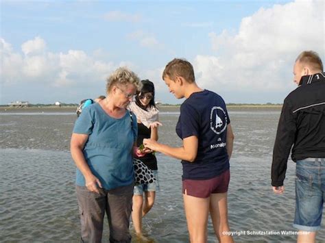 BFD Im Weltnaturerbe Wattenmeer St Peter Ording Schutzstation