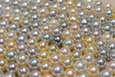 Pearl Color Guide Pearls Of Joy